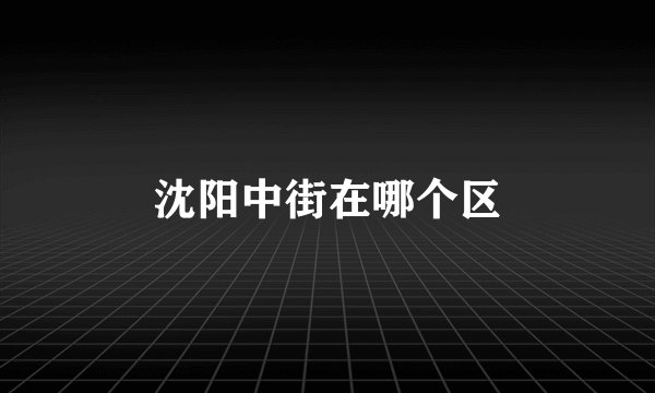 沈阳中街在哪个区