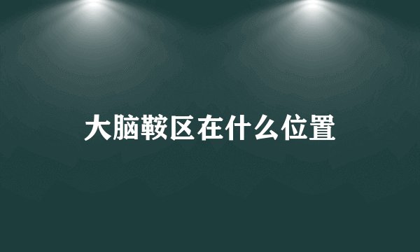 大脑鞍区在什么位置