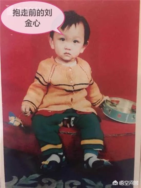 保姆偷子26年还回不成器儿子,亲妈怒怼:这是甩包袱。对此事你怎么评价?