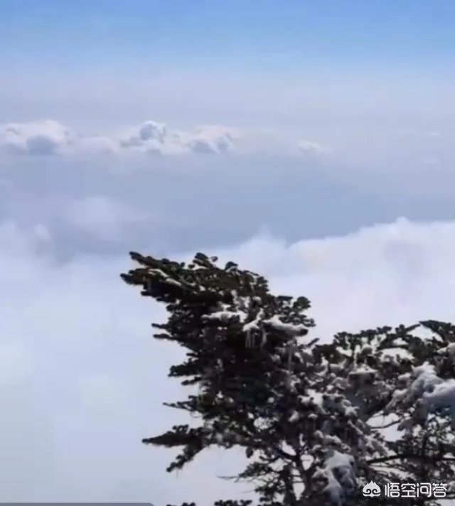 求峨眉山一日游最佳攻略?