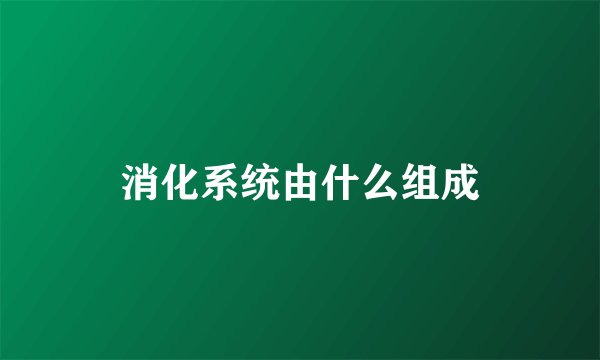 消化系统由什么组成