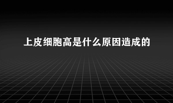 上皮细胞高是什么原因造成的