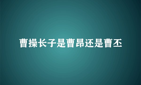 曹操长子是曹昂还是曹丕