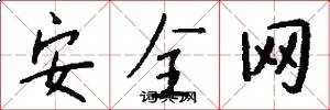 安全网
