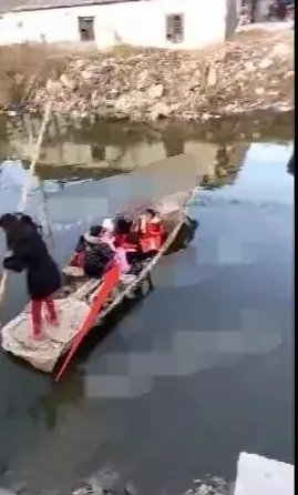 江苏小学生为何会