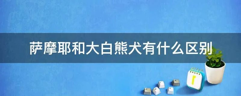 萨摩耶和大白熊犬有什么区别