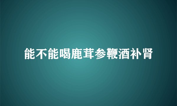 能不能喝鹿茸参鞭酒补肾