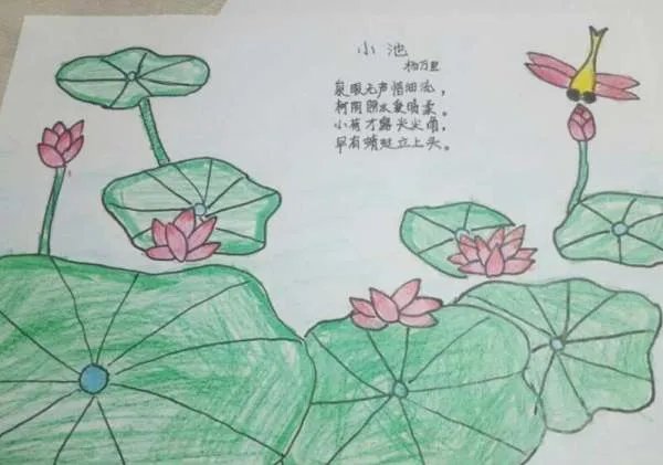 古诗小池的意思？