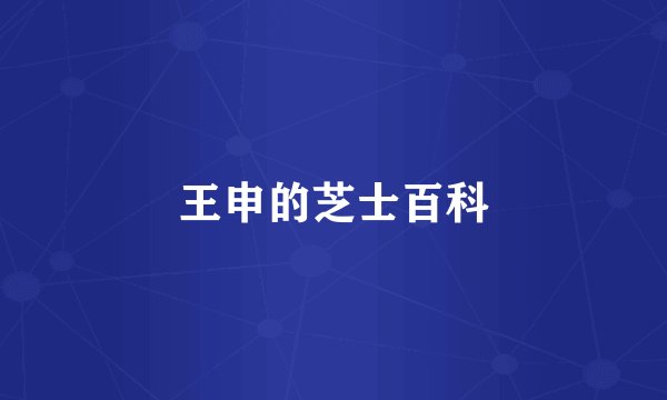 王申的芝士百科