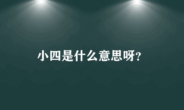 小四是什么意思呀？