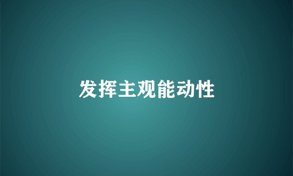 发挥主观能动性