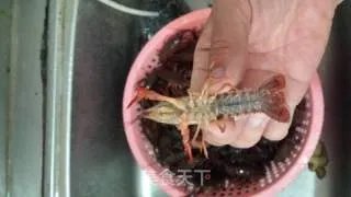 麻辣小龙虾