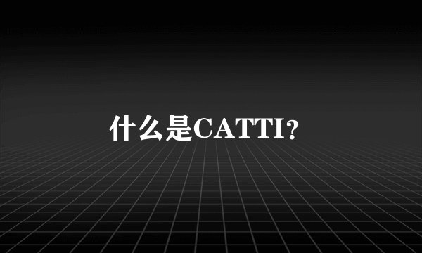 什么是CATTI？