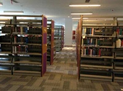 上海纽约大学,怎样?