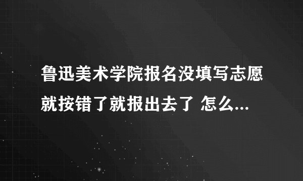 鲁迅美术学院报名没填写志愿就按错了就报出去了 怎么办啊 着急啊 能解决么