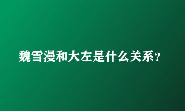 魏雪漫和大左是什么关系？