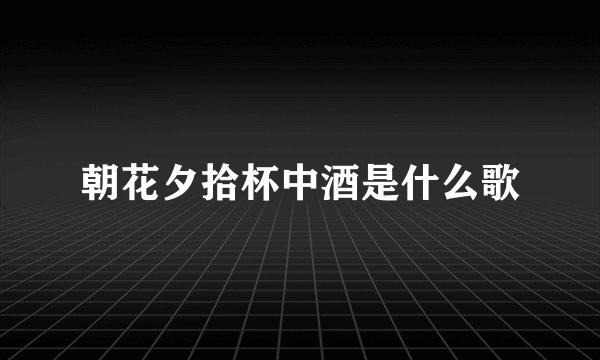 朝花夕拾杯中酒是什么歌