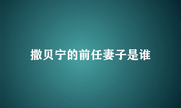 撒贝宁的前任妻子是谁