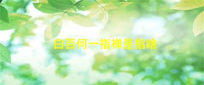 白百何一指禅是指啥