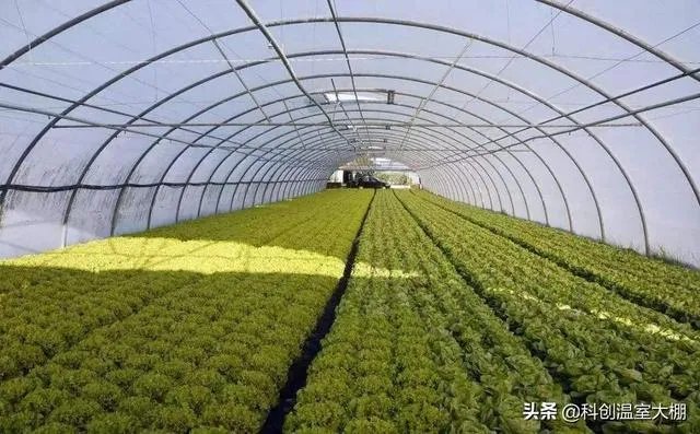 什么是设施农业?