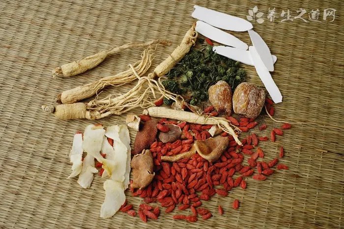 猫可以吃生肉吗