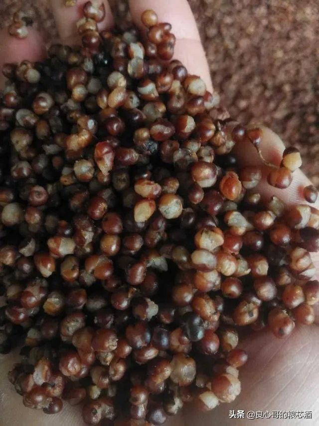 请问茅台酒收藏到底有没有价值?如果有,我们该收藏什么样的茅台酒才增值?