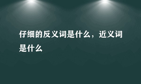 仔细的反义词是什么，近义词是什么