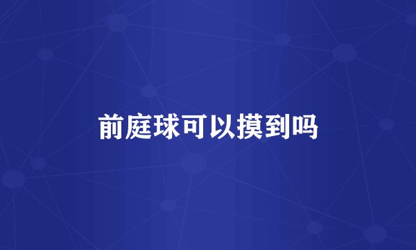 前庭球可以摸到吗