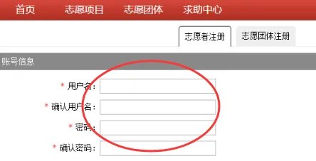 全国志愿服务信息系统官网