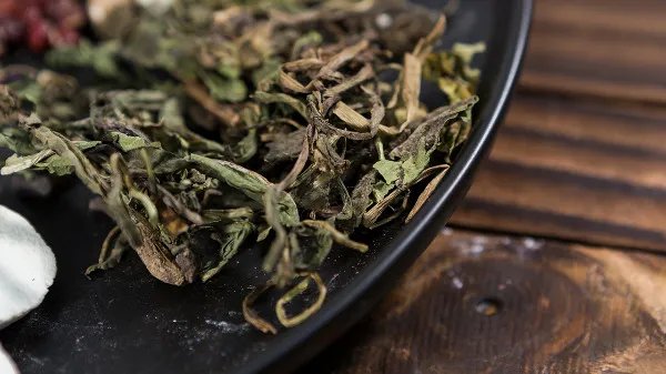 蒲公英的作用与功效是什么