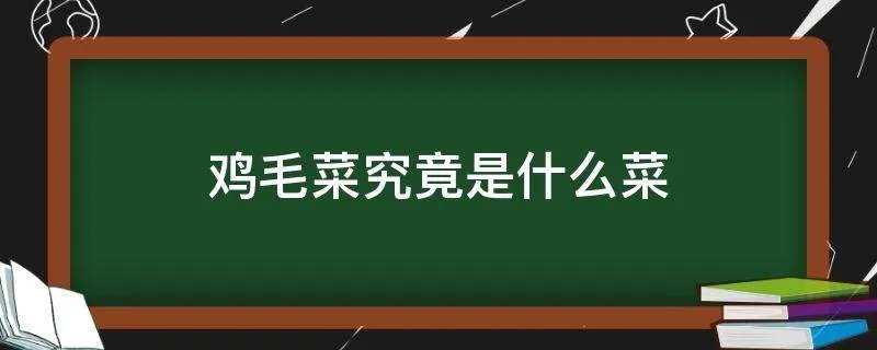鸡毛菜究竟是什么菜