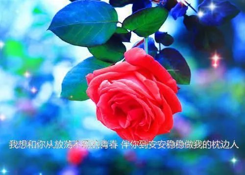 碧荷（林致远梁碧荷）免费小说_碧荷全文阅读
