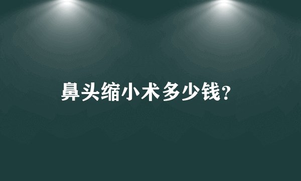 鼻头缩小术多少钱？