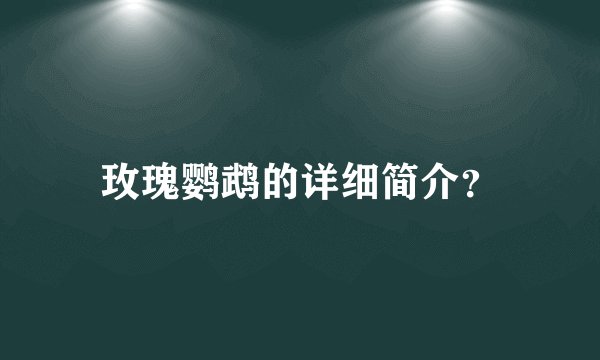 玫瑰鹦鹉的详细简介？