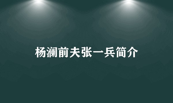 杨澜前夫张一兵简介