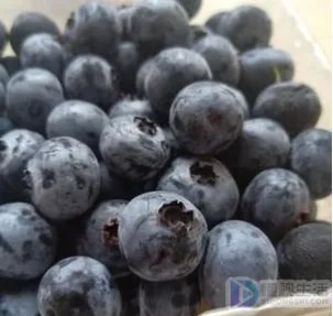 蓝莓怎么清洗