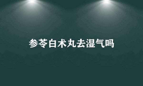 参苓白术丸去湿气吗