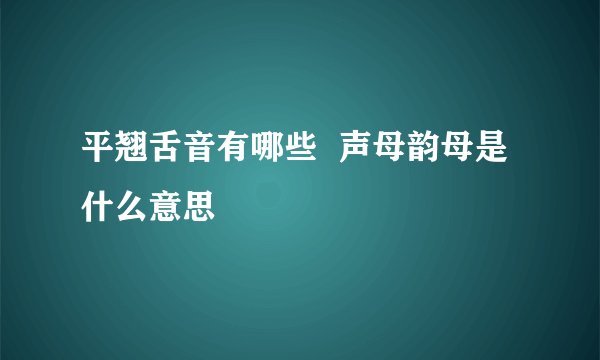 平翘舌音有哪些  声母韵母是什么意思