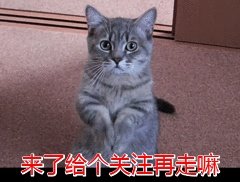 如果把狗狗自己放到陌生环境中