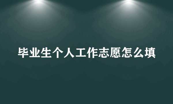 毕业生个人工作志愿怎么填