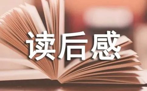 《苦儿流浪记》读后感