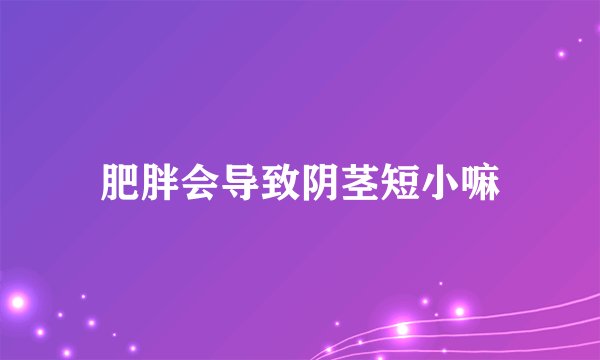 肥胖会导致阴茎短小嘛