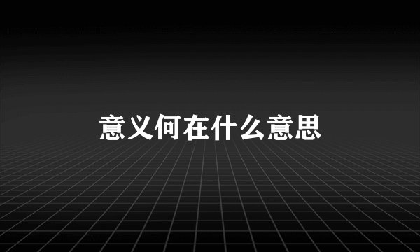 意义何在什么意思