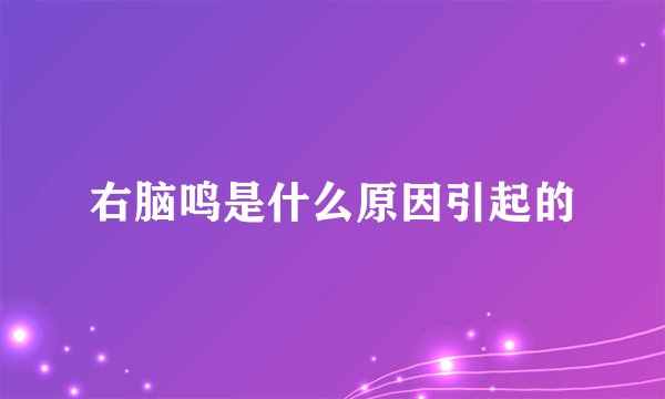 右脑鸣是什么原因引起的