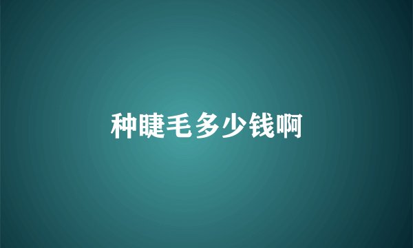 种睫毛多少钱啊