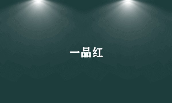一品红