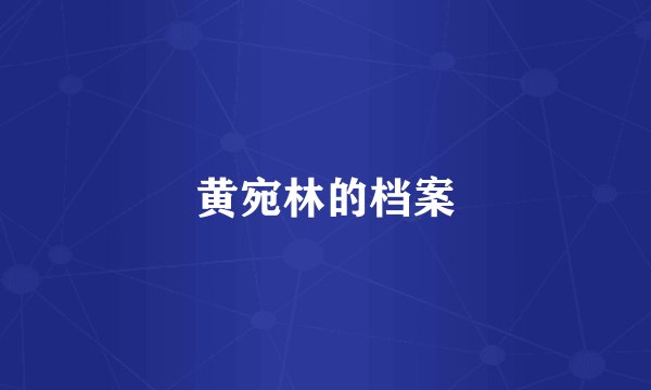 黄宛林的档案
