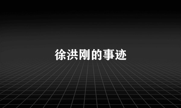徐洪刚的事迹
