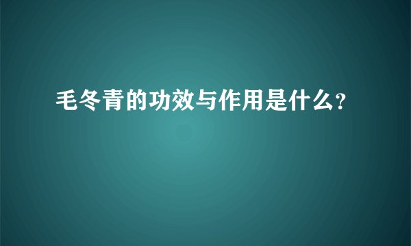毛冬青的功效与作用是什么？