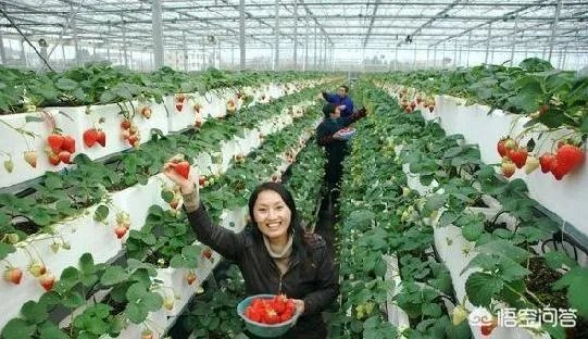什么是设施农业?